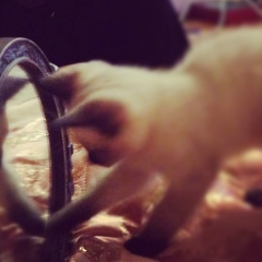 Артур Давлетшин, 06.11