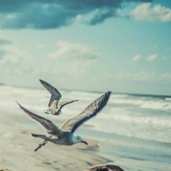 Владлена Мрясова, 05.09, Одесса