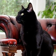 Александр Люлин, 19.01.1984, Алматы