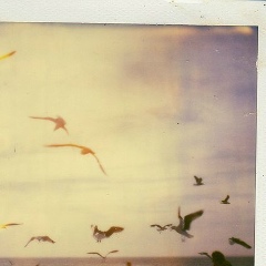 Степан Серов, 03.08