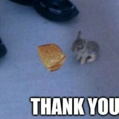 Виталий Мирошник, 21.09.1999, Днепр (Днепропетровск)