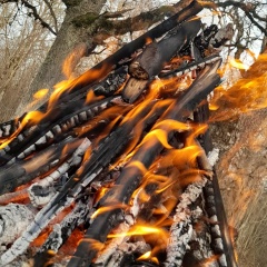 Рамиз Садигов, 17.05, Rakvere (Раквере)