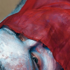 Павлик Мартин, Tüzen