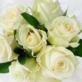 Ильминур Сулейманова, 14.04, Жаркент