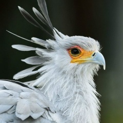 Дарья Маслова, 05.12.2001, Москва