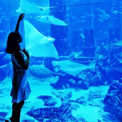 Карина Жилич, 01.05, Минск