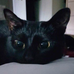 Асель Шаймерденова, 02.07, Астана