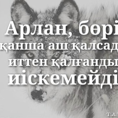 Мэлс Нуркасымов, 07.06.1992, Актау