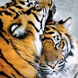 Виктория Богорад, 26.08, Красноярск