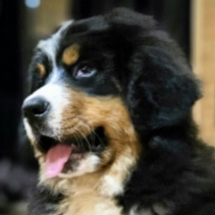 Виталий Ряднов, 11.04