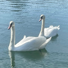 Лера Попова, 02.12, Москва