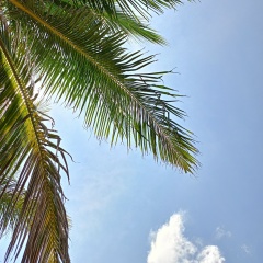 Дмитрий Гаврильченко, 28.05.1987, Колпино