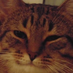 Дмитрий Иванов, 06.11, Березники