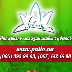 Μария Κнязева, Запорожье
