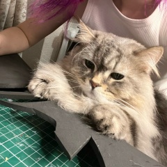 Карина Ан, 05.05, Кокшетау