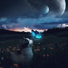 Maral Dossanova, 10.07, Шымкент