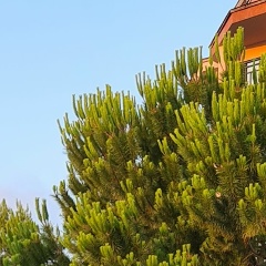 Татьяна Тёркина, 14.04.1986, Санкт-Петербург