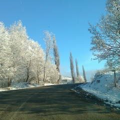 Виктор Белянкин, 31.07, Ростов-на-Дону