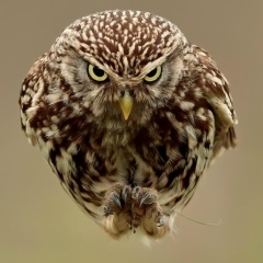 Сергей Лунёв, 19.11.1985, Тула