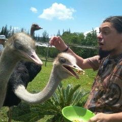 Александр Пряничников, 01.06.1981, Beograd