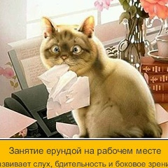 Александр Ермоленко, 18.06.1992, Санкт-Петербург