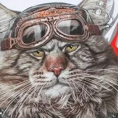 Иван Полонский, 28.11.1984, Северодвинск