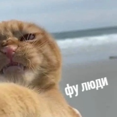 Михаил Зюликов, Москва