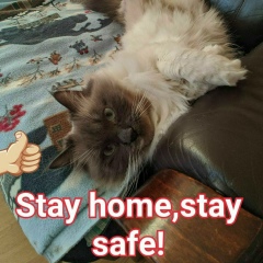 Peter Borisovich, 30.03, Санкт-Петербург