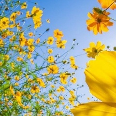 Дарья Н., 30.01, Санкт-Петербург