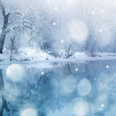 Ислам Заринский, 03.04.1994, Алматы