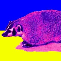 Anna Ostrovskaya, 01.03.1985, Запорожье