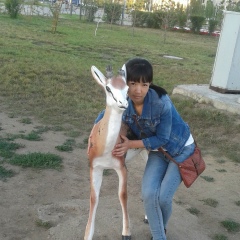 Aigul Maxanova, 31.01.1992, Шымкент