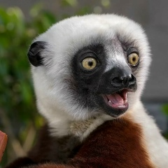 Денис Лебедев, 11.03, Москва