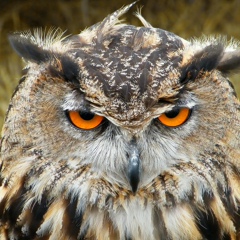 Александр Филясов, 01.06.1992, Москва