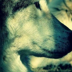 Глеб Светлицкий, 28.07.2004