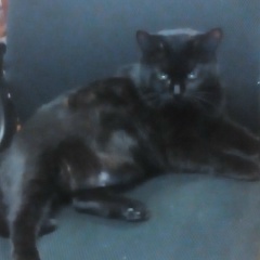 Александр Пупшев, 25.04.1986, Белоозёрский