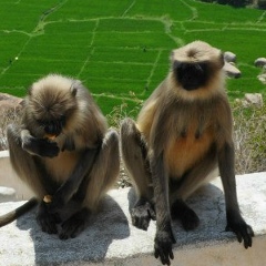 Евгений Ноздричев, 10.06.1977, Санкт-Петербург