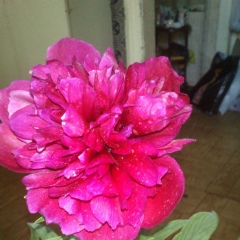 Gabriele Abbondante, 10.09.1997, Москва