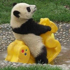 Ербол Полатов, 11.11, Алматы