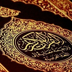 Ислам Ислам, 11.02.1993, Ростов-на-Дону