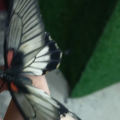 Маргарита Войцеховская, 19.07, Орск