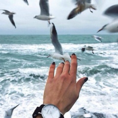 Шекер Мырзакулова, 30.01, Шымкент