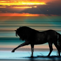 Федор Двенятин, 11.11.1980, Киев