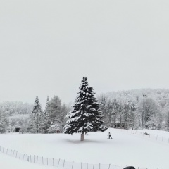 Евгений Радугин, 06.03.1980, Вологда