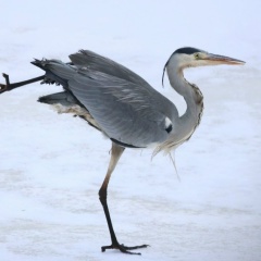 Мария Олли, 10.06, Санкт-Петербург