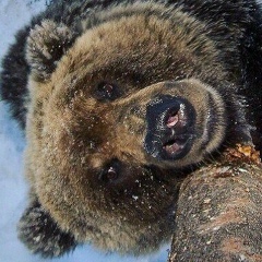 Роман Соколов, 21.08, Владикавказ