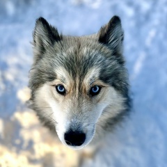 Сергей Фёдоров, 29.07, Нижняя Тура