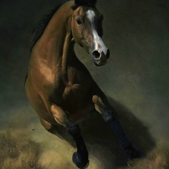 Талгат Абдыкадыров, 29.07, Москва