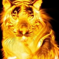 Ramallah Mamedov, 04.05, Санкт-Петербург