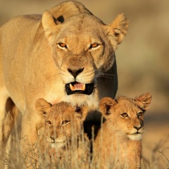 Яна Румянцева, 11.08, Санкт-Петербург